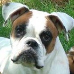 Meet your Posher, Stacey